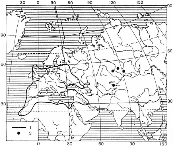 Lebensraum Auerochse